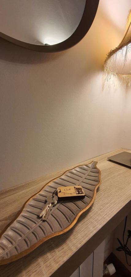 Cal Tranquil Camprodon, Acollidor Atic Al Centre Apartment Exterior foto