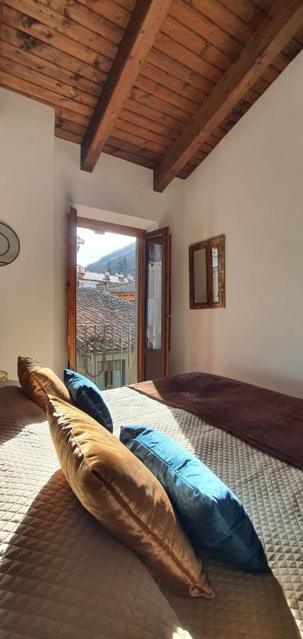 Cal Tranquil Camprodon, Acollidor Atic Al Centre Apartment Exterior foto